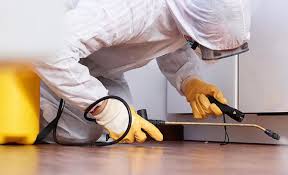 Real Estate Pest Inspections in Hanover, MN